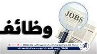 التقديم حتى نهاية مارس.. فرص عمل مميزة بالسفارة الكورية بالقاهرة