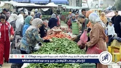 أسعار الخضروات اليوم الإحد 15-3-2026 في الأقصر