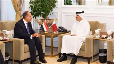 وزير الخارجية يعقد مباحثات مع نظيره القطري في الدوحة في ظل التصعيد العسكري بالمنطقة