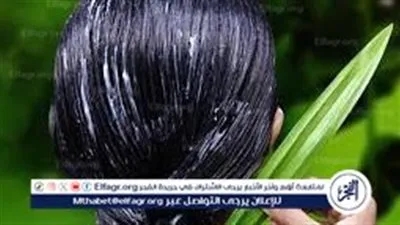 قبل العيد.. 5 وصفات طبيعية لتنعيم الشعر وفرده دون مكواة أو استشوار