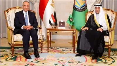 وزير الخارجية يعقد لقاءً مع أمين عام مجلس التعاون الخليجي بالرياض لبحث خفض التصعيد وتعزيز آليات العمل العربي المشترك