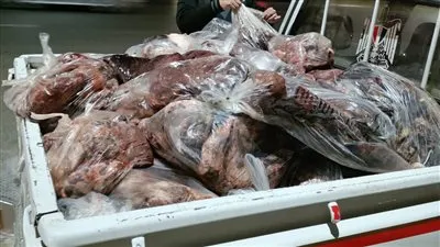 محافظة الجيزة تضبط 9 أطنان من الأسماك المملحة المدخنة وأغذية فاسدة