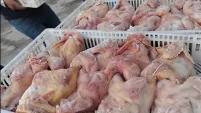 ضبط 125 كيلو من الدواجن مجهولة المصدر بحملة تموينية بالإسكندرية