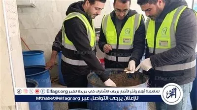 قبل عيد الفطر..ضبط نصف طن فسيخ غير صالحة للاستهلاك الادمى فى الغربية (صور)