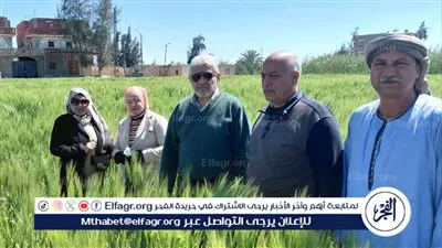 زراعة الإسماعيلية تتابع ميدانيًّا الحقول الإرشادية لمحصول الشعير بالقصاصين