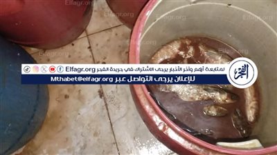 ضبط طن أسماك مملحة فاسدة ولحوم غير صالحة خلال حملات رقابية مكثفة بمراكز المنيا