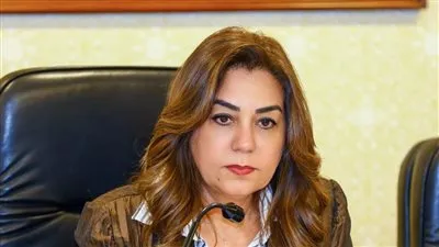 وزيرة التنمية المحلية والبيئة تعتمد المخططات التفصيلية لعدد من المدن