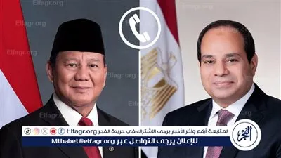 السيسي: نرفض المساس بسيادة الدول العربية.. ورئيس إندونيسيا: نقدر جهود مصر لخفض التصعيد