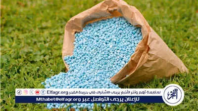 اسعار الأسمدة اليوم الثلاثاء 24مارس 2026 فى المنيا 