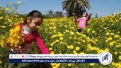 الحسابات الفلكية تكشف مواعيد فصول السنة 2026 وأطوالها حتى نهاية العام