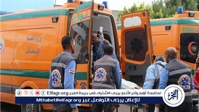 مصرع شاب في الفيوم إثر سقوط عرق خشبي بسبب سوء الأحوال الجوية