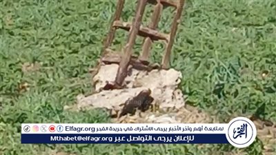 حالة من القلق والخوف لأهالى عزبة حسن حسني بطامية بسبب ميل عمود تيار عالى بسبب شدة الرياح 