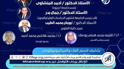 جامعة أسيوط تنظم ورشة عمل حول التحويل المستدام للكتلة الحيوية إلى إيثانول صالح كوقود
