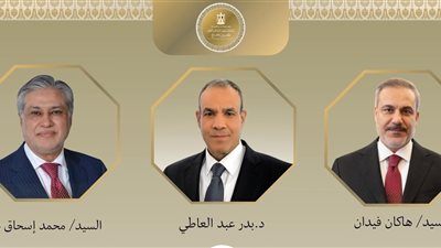 عاجل.. وزير الخارجية يجري اتصالا بنظيريه الباكستاني والتركي