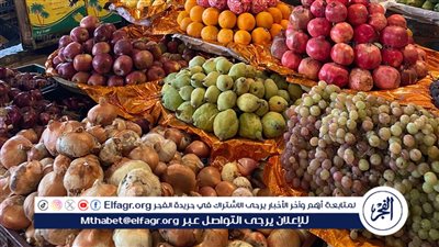 بين الإنخفاض والارتفاع..... أسعار الخضروات والفاكهة في المنيا اليوم الجمعة 3 أبريل 2026