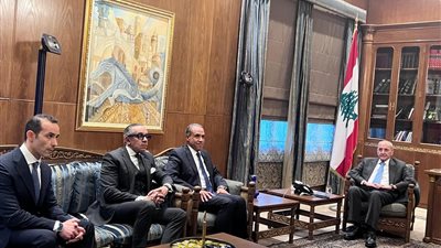 وزير الخارجية يلتقى رئيس مجلس النواب اللبناني ببيروت ويؤكد تضامن مصر مع لبنان الشقيق