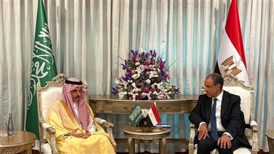 وزير الخارجية يبحث مع نظيره السعودي جهود التهدئة الإقليمية وتغليب المسار الدبلوماسي على هامش الاجتماع الوزارى الرباعي في باكستان