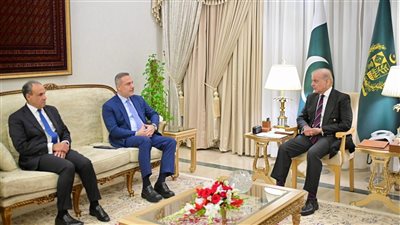 بتوجيهات من السيد رئيس الجمهورية.. وزير الخارجية يلتقى رئيس الوزراء الباكستاني لتعزيز التنسيق المشترك لخفض التصعيد فى الاقليم