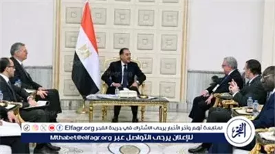 عاجل- رئيس الوزراء يلتقى رئيس شركة 