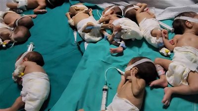 من العلاج إلى الشفاء.. الهلال الأحمر يقدم رعاية إنسانية متكاملة تتوج بعودة آمنة لأطفال غزة المبتسرين