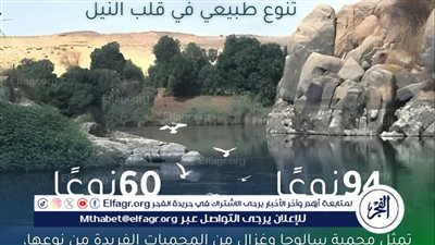 محمية جزر سالوجا وغزال… تنوع طبيعي في قلب النيل