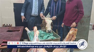 ضبط 150 كيلو لحوم غير صالحة للاستهلاك الادمى فى الغربية