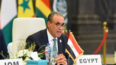 وزير الخارجية: مصر تستضيف ١٠ ملايين لاجئ ومهاجر يعيشون ضمن نسيج المجتمع