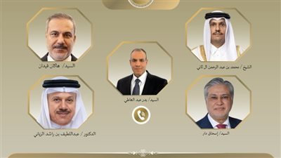 وزير الخارجية يبحث مع نظرائه في تركيا وباكستان وقطر والبحرين أزمة إيران