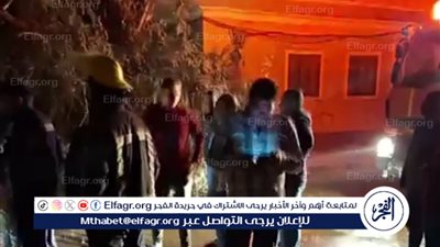 بسبب الرياح الشديدة، سقوط شجرة ضخمة على منزل في المنيا