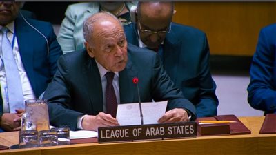 أحمد أبو الغيط أمام مجلس الأمن: تحذيرات عربية من تصعيد إيراني وتهديد الملاحة الدولية ومطالب بحلول سياسية عاجلة