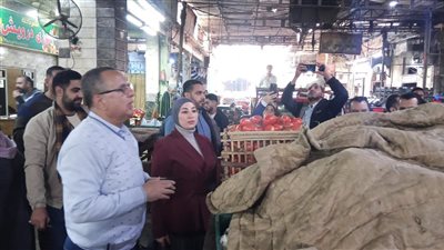 محافظ الدقهلية: تحرير 141 مخالفة تموينية خلال يوم واحد