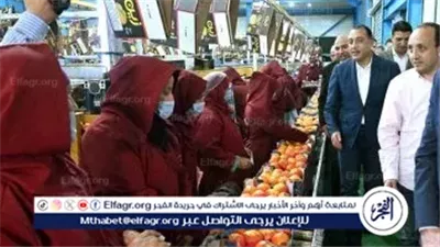 عاجل- رئيس الوزراء يتفقد محطة الصواف لتعبئة الموالح والحاصلات الزراعية