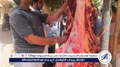 ضبط أكثر من 200 كيلو لحوم فاسدة خلال حملة مكبرة للطب البيطري بسوهاج