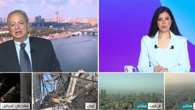 أستاذ علوم سياسية: مصر تقود جهودًا دبلوماسية فاعلة لاحتواء أزمات المنطقة