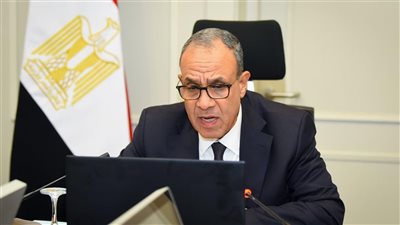 وزير الخارجية يشارك فى الاجتماع الافتراضي مع أبناء الجالية المصرية في الأردن