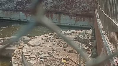 حديقة حيوان بني سويف تستغيث… إهمال صارخ يحولها إلى بؤرة أمراض تهدد الأطفال وسط صمت المسؤولين