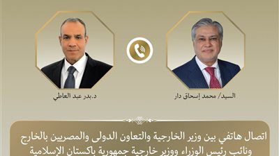 وزيرا خارجية مصر وباكستان يبحثان آخر مستجدات الوضع الاقليمى وجهود خفض التصعيد