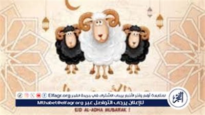 موعد وقفة عرفات وعيد الأضحى 2026 فلكيًا.. التفاصيل الكاملة وفق الحسابات الرسمية