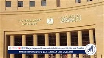 عاجل- البنك المركزي المصري يحذر من الاحتيال الإلكتروني ويقدم نصائح لحماية البيانات
