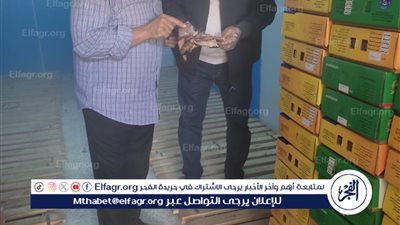 ضبط 3.5 طن من الأسماك واللحوم غير الصالحة قبل أعياد الربيع فى الغربية (صور)