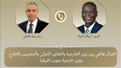 هاتفيًا.. وزير الخارجية ونظيره الجنوب أفريقي بحثان التطورات الاقليمية