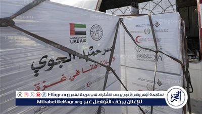 بدعم من وكالة الإمارات للمساعدات الدولية.. وصول طائرة مساعدات إلى العريش محملة بـ100 طن لدعم أهالي غزة