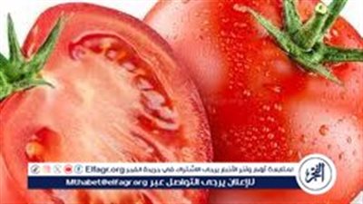 تحديث أسعار الخضروات والفاكهة في دمياط اليوم وتأثيرها على حركة البيع