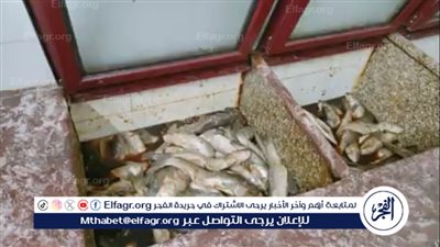 الزراعة تكثف الرقابة على أسواق الفسيخ والرنجة وتصدر إرشادات عاجلة للمواطنين قبل شم النسيم