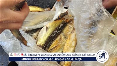 قبل شم النسيم.. تموين الفيوم يضبط ربع طن سردين ورنجة غيرصالح للاستهلاك الآدمي