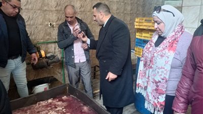 ضبط 6 أطنان دواجن فاسدة وتحرير 34 محضرًا تموينيًا في الإسكندرية