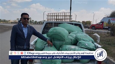 تموين الإسماعيلية يضبط طن من الدقيق البلدي المدعم لتحقيق أرباح غير مشروعه