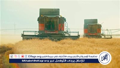 عاجل ـ الحكومة تستعد لموسم توريد القمح 2026 بخطة شاملة وتيسيرات لدعم المزارعين