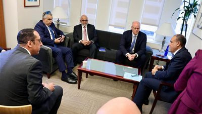 وزير الخارجية يؤكد ثوابت الموقف المصري من القضية الفلسطينية ويبحث مع البنك الدولي دعم إعادة إعمار غزة