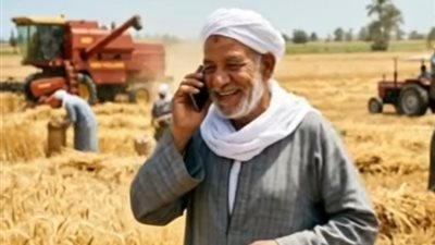  حصاد القمح ينطلق بقوة في بني سويف.. الدولة تتحرك لدعم الفلاح وتأمين الغذاء